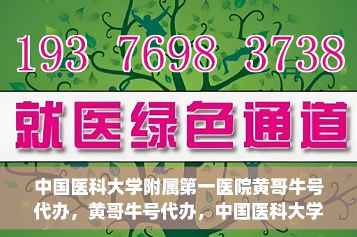 中国医科大学附属第一医院黄哥牛号代办，黄哥牛号代办，中国医科大学附属第一医院挂号服务新动向