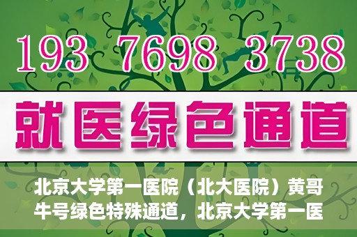 北京大学第一医院（北大医院）黄哥牛号绿色特殊通道，北京大学第一医院绿色特殊通道，黄哥牛号的探索与实践