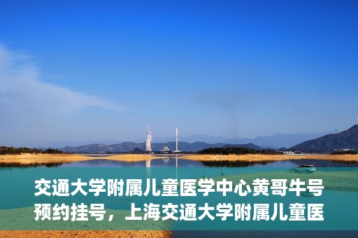 交通大学附属儿童医学中心黄哥牛号预约挂号，上海交通大学附属儿童医学中心黄哥牛专家预约挂号攻略
