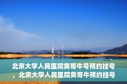 北京大学人民医院黄哥牛号预约挂号，北京大学人民医院黄哥牛预约挂号攻略，轻松预约，便捷就医