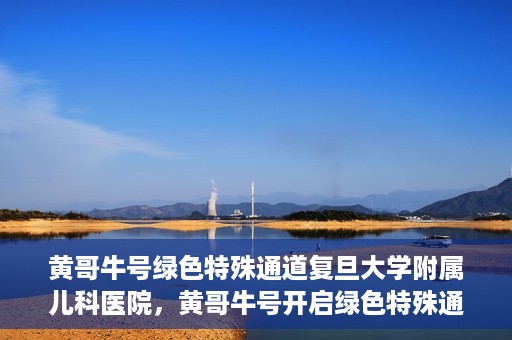 黄哥牛号绿色特殊通道复旦大学附属儿科医院，黄哥牛号开启绿色特殊通道，复旦大学附属儿科医院助力健康成长新篇章