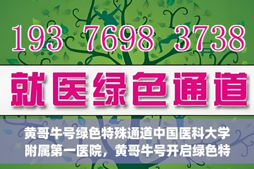 黄哥牛号绿色特殊通道中国医科大学附属第一医院，黄哥牛号开启绿色特殊通道，中国医科大学附属第一医院助力健康中国行动