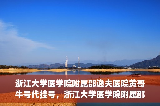 浙江大学医学院附属邵逸夫医院黄哥牛号代挂号，浙江大学医学院附属邵逸夫医院黄哥牛号助您预约挂号体验