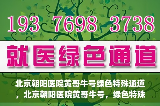 北京朝阳医院黄哥牛号绿色特殊通道，北京朝阳医院黄哥牛号，绿色特殊通道开启健康之门