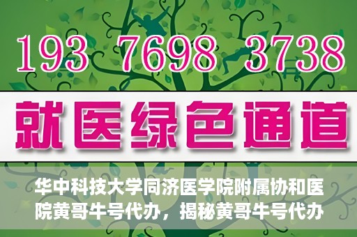 华中科技大学同济医学院附属协和医院黄哥牛号代办，揭秘黄哥牛号代办背后的故事，华中科技大学同济医学院附属协和医院就医新途径探索