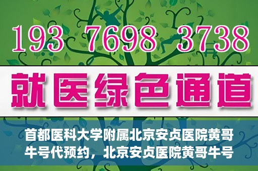 首都医科大学附属北京安贞医院黄哥牛号代预约，北京安贞医院黄哥牛号预约服务解析