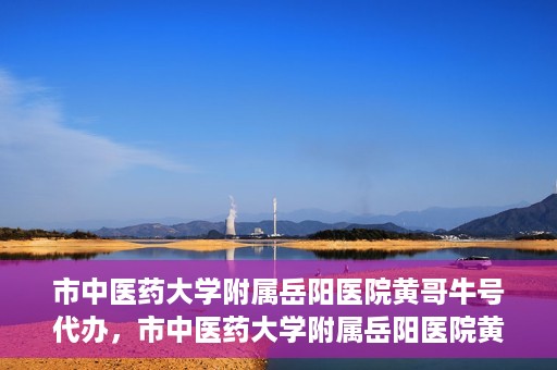 市中医药大学附属岳阳医院黄哥牛号代办，市中医药大学附属岳阳医院黄哥牛号代办，一站式医疗服务的信赖之选