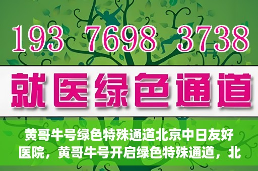 黄哥牛号绿色特殊通道北京中日友好医院，黄哥牛号开启绿色特殊通道，北京中日友好医院助力健康之路