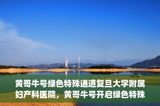 黄哥牛号绿色特殊通道复旦大学附属妇产科医院，黄哥牛号开启绿色特殊通道，复旦大学附属妇产科医院助力健康新篇章