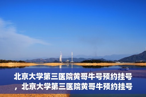 北京大学第三医院黄哥牛号预约挂号，北京大学第三医院黄哥牛预约挂号攻略，轻松预约专家号