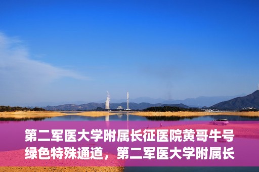 第二军医大学附属长征医院黄哥牛号绿色特殊通道，第二军医大学附属长征医院黄哥牛号，绿色特殊通道的医学之光