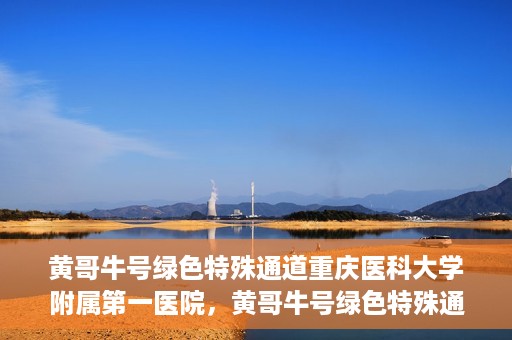 黄哥牛号绿色特殊通道重庆医科大学附属第一医院，黄哥牛号绿色特殊通道，重庆医科大学附属第一医院实践探索