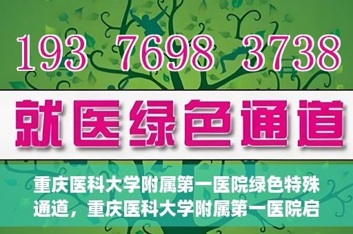 重庆医科大学附属第一医院绿色特殊通道，重庆医科大学附属第一医院启动绿色特殊通道，高效医疗服务的探索与实践