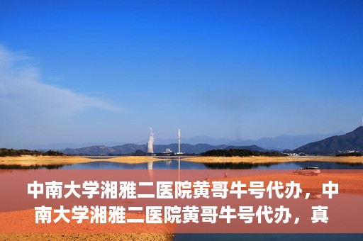 中南大学湘雅二医院黄哥牛号代办，中南大学湘雅二医院黄哥牛号代办，真相揭秘与深度解读