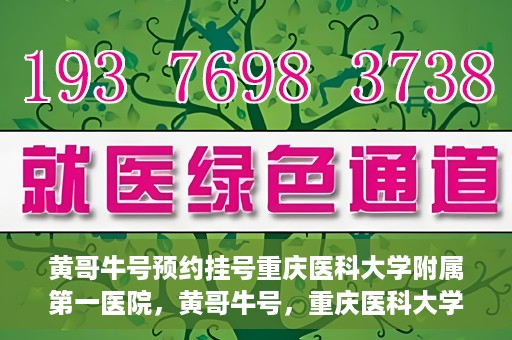 黄哥牛号预约挂号重庆医科大学附属第一医院，黄哥牛号，重庆医科大学附属第一医院预约挂号服务开启