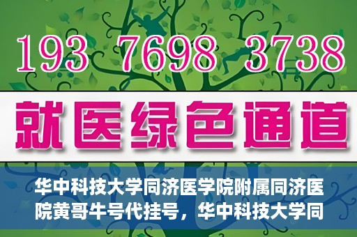 华中科技大学同济医学院附属同济医院黄哥牛号代挂号，华中科技大学同济医院黄哥牛号代挂号背后的故事