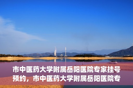 市中医药大学附属岳阳医院专家挂号预约，市中医药大学附属岳阳医院专家挂号预约攻略解析