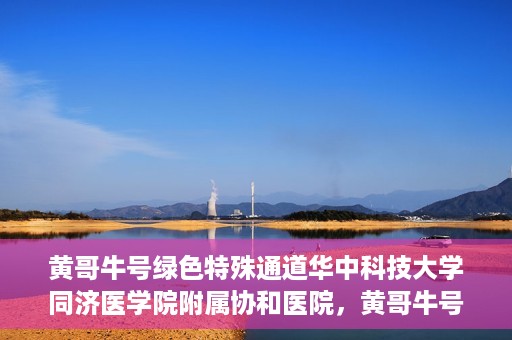 黄哥牛号绿色特殊通道华中科技大学同济医学院附属协和医院，黄哥牛号开启绿色特殊通道，华中科技大学同济医学院附属协和医院助力健康中国行动