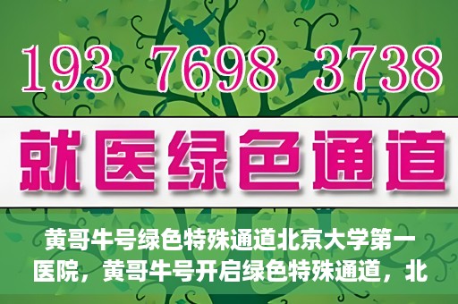 黄哥牛号绿色特殊通道北京大学第一医院，黄哥牛号开启绿色特殊通道，北京大学第一医院全力护航健康之路
