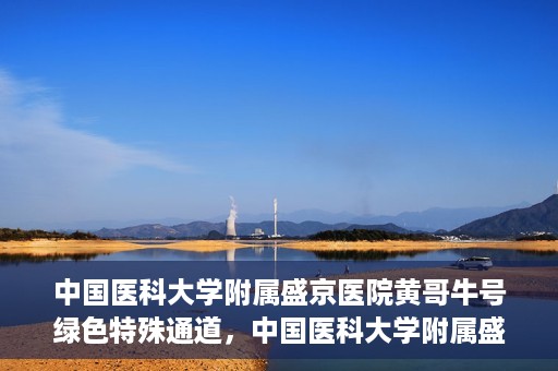 中国医科大学附属盛京医院黄哥牛号绿色特殊通道，中国医科大学附属盛京医院黄哥牛号，绿色特殊通道开启健康之门