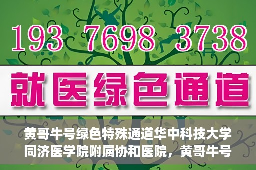 黄哥牛号绿色特殊通道华中科技大学同济医学院附属协和医院，黄哥牛号开启绿色特殊通道，华中科技大学同济医学院附属协和医院助力健康中国行动