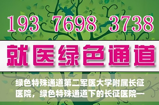 绿色特殊通道第二军医大学附属长征医院，绿色特殊通道下的长征医院——第二军医大学附属长征医院探索与实践