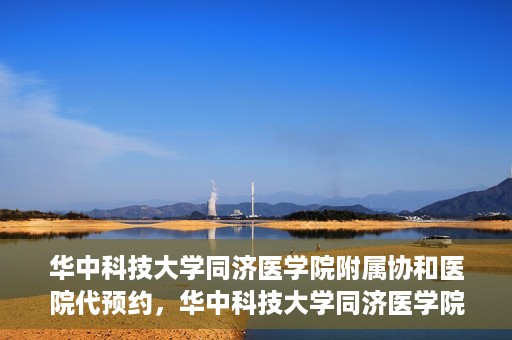 华中科技大学同济医学院附属协和医院代预约，华中科技大学同济医学院附属协和医院便捷代预约服务解析