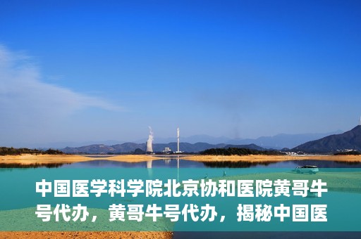 中国医学科学院北京协和医院黄哥牛号代办，黄哥牛号代办，揭秘中国医学科学院北京协和医院背后的故事