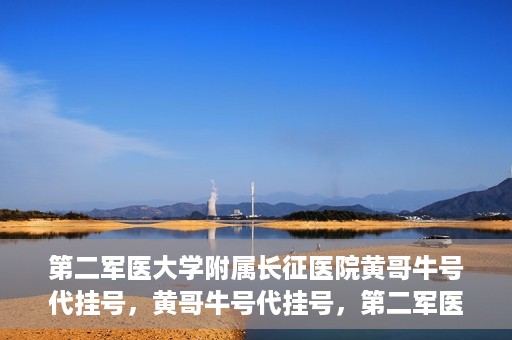 第二军医大学附属长征医院黄哥牛号代挂号，黄哥牛号代挂号，第二军医大学附属长征医院的便捷就医之路