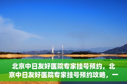 北京中日友好医院专家挂号预约，北京中日友好医院专家挂号预约攻略，一站式解决您的就医难题