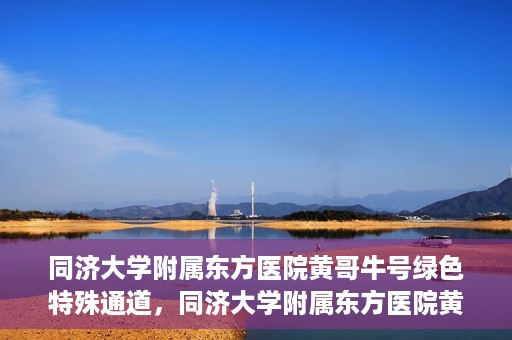 同济大学附属东方医院黄哥牛号绿色特殊通道，同济大学附属东方医院黄哥牛号，绿色特殊通道开启健康之门