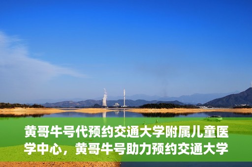 黄哥牛号代预约交通大学附属儿童医学中心，黄哥牛号助力预约交通大学附属儿童医学中心服务
