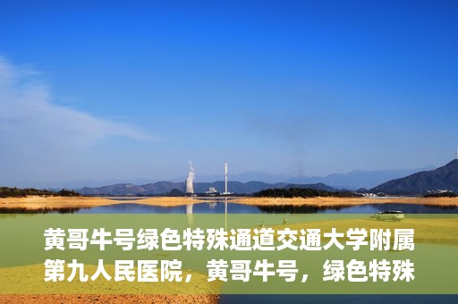 黄哥牛号绿色特殊通道交通大学附属第九人民医院，黄哥牛号，绿色特殊通道下的交通大学附属第九人民医院新篇章