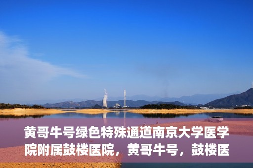 黄哥牛号绿色特殊通道南京大学医学院附属鼓楼医院，黄哥牛号，鼓楼医院开启绿色特殊通道助力健康之路