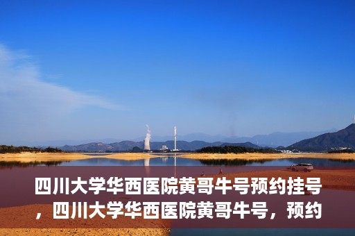 四川大学华西医院黄哥牛号预约挂号，四川大学华西医院黄哥牛号，预约挂号攻略与指南