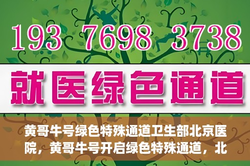 黄哥牛号绿色特殊通道卫生部北京医院，黄哥牛号开启绿色特殊通道，北京医院卫生部全力支持创新服务