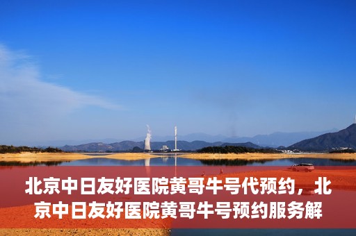 北京中日友好医院黄哥牛号代预约，北京中日友好医院黄哥牛号预约服务解析