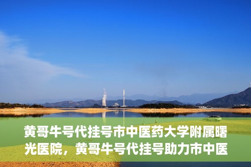 黄哥牛号代挂号市中医药大学附属曙光医院，黄哥牛号代挂号助力市中医药大学附属曙光医院就医无忧