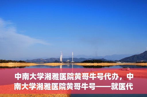 中南大学湘雅医院黄哥牛号代办，中南大学湘雅医院黄哥牛号——就医代办服务详解