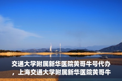 交通大学附属新华医院黄哥牛号代办，上海交通大学附属新华医院黄哥牛号代办服务解析
