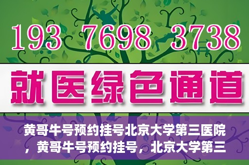 黄哥牛号预约挂号北京大学第三医院，黄哥牛号预约挂号，北京大学第三医院便捷就医新体验