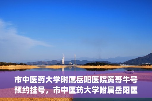 市中医药大学附属岳阳医院黄哥牛号预约挂号，市中医药大学附属岳阳医院黄哥牛号预约挂号攻略