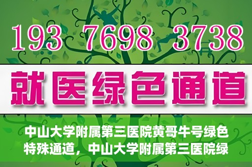 中山大学附属第三医院黄哥牛号绿色特殊通道，中山大学附属第三医院绿色特殊通道，黄哥牛号引领医疗创新之路