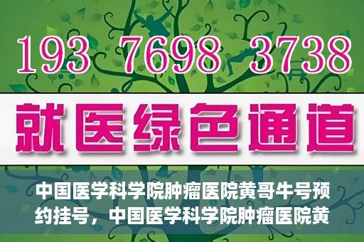 中国医学科学院肿瘤医院黄哥牛号预约挂号，中国医学科学院肿瘤医院黄哥牛号预约挂号攻略，一站式解决您的挂号难题