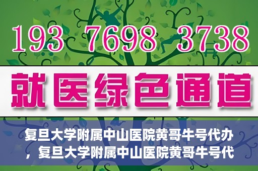 复旦大学附属中山医院黄哥牛号代办，复旦大学附属中山医院黄哥牛号代办，权威医疗资源的深度解读与便捷服务体验