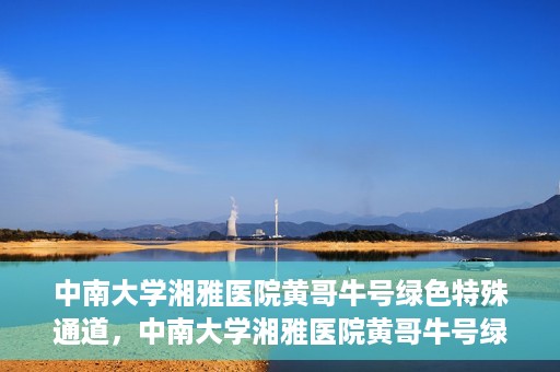 中南大学湘雅医院黄哥牛号绿色特殊通道，中南大学湘雅医院黄哥牛号绿色特殊通道，医疗服务的创新实践与人文关怀的体现