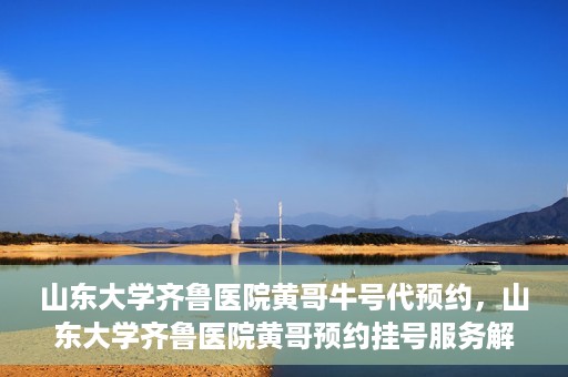 山东大学齐鲁医院黄哥牛号代预约，山东大学齐鲁医院黄哥预约挂号服务解析