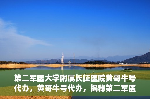 第二军医大学附属长征医院黄哥牛号代办，黄哥牛号代办，揭秘第二军医大学附属长征医院的医疗服务新篇章