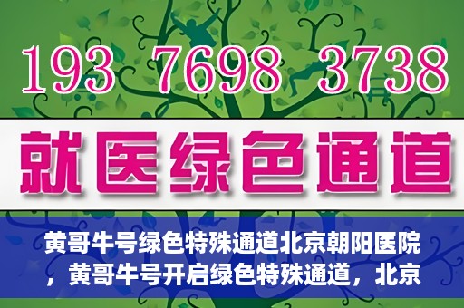 黄哥牛号绿色特殊通道北京朝阳医院，黄哥牛号开启绿色特殊通道，北京朝阳医院助力健康之路