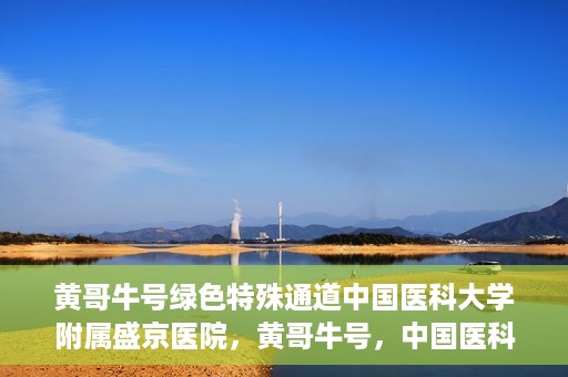 黄哥牛号绿色特殊通道中国医科大学附属盛京医院，黄哥牛号，中国医科大学附属盛京医院开启绿色特殊通道助力医疗进步